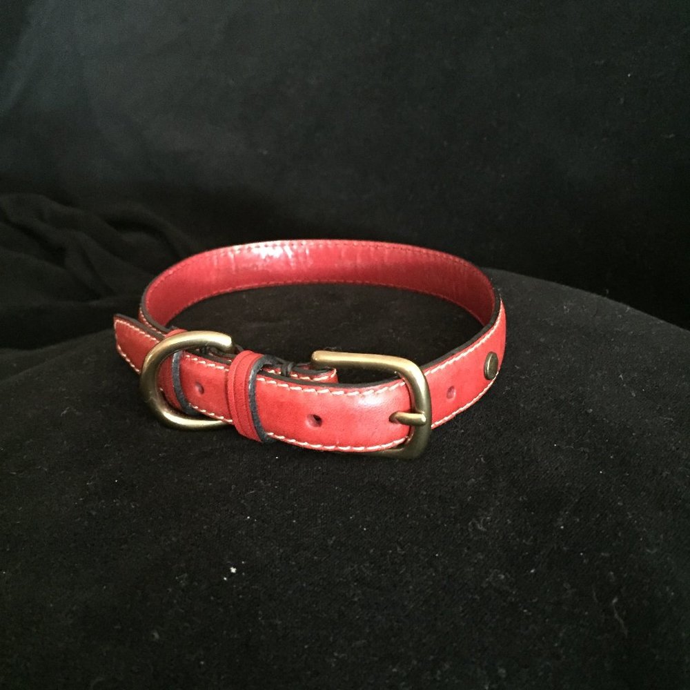Canine Styles Soft Leather Dog Collar